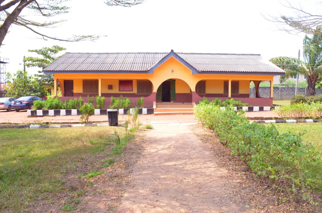 Primary Classes